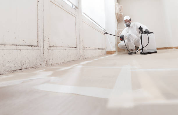 24/7 Emergency Mold Removal experts in Greenville, PA